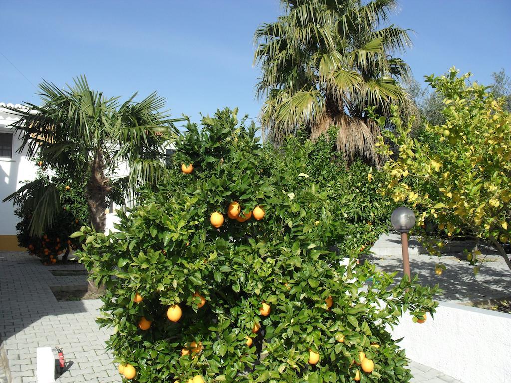 Casa De Campo Quinta Sao Jorge Villa Reguengos de Monsaraz Exterior foto